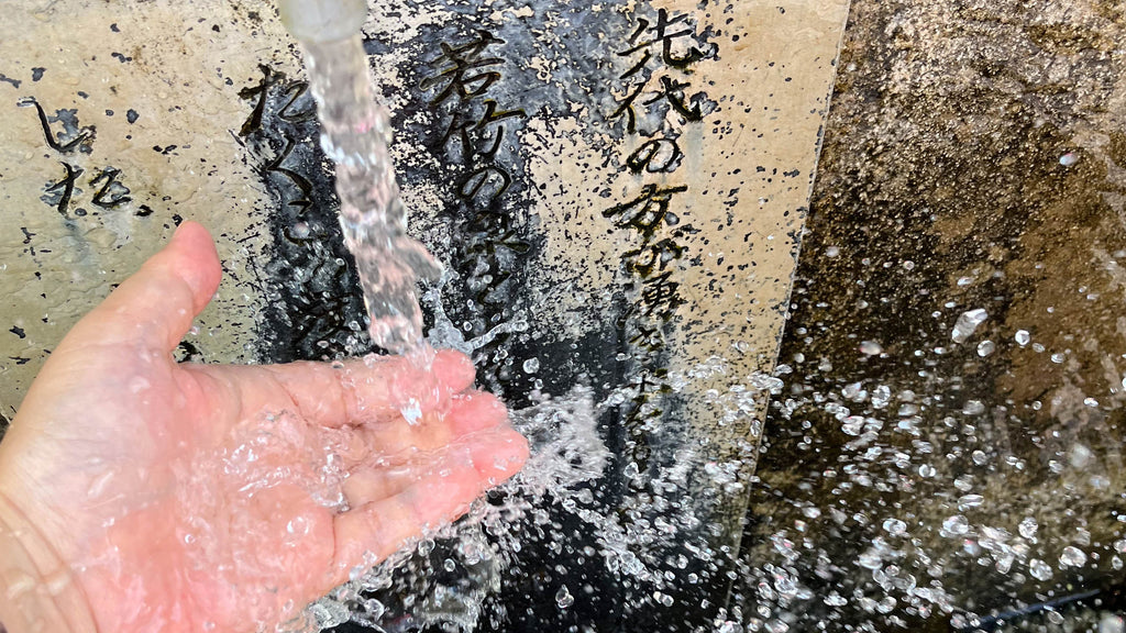 My favorite watering hole that I always stop by