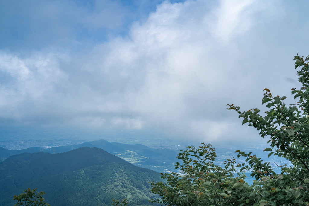 秦野の水が生む味 — 名水百選の湧水と、酒造りのこと