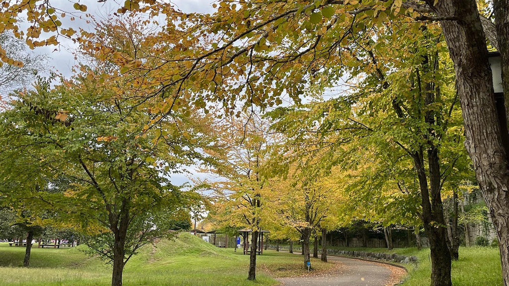 秋の戸川公園