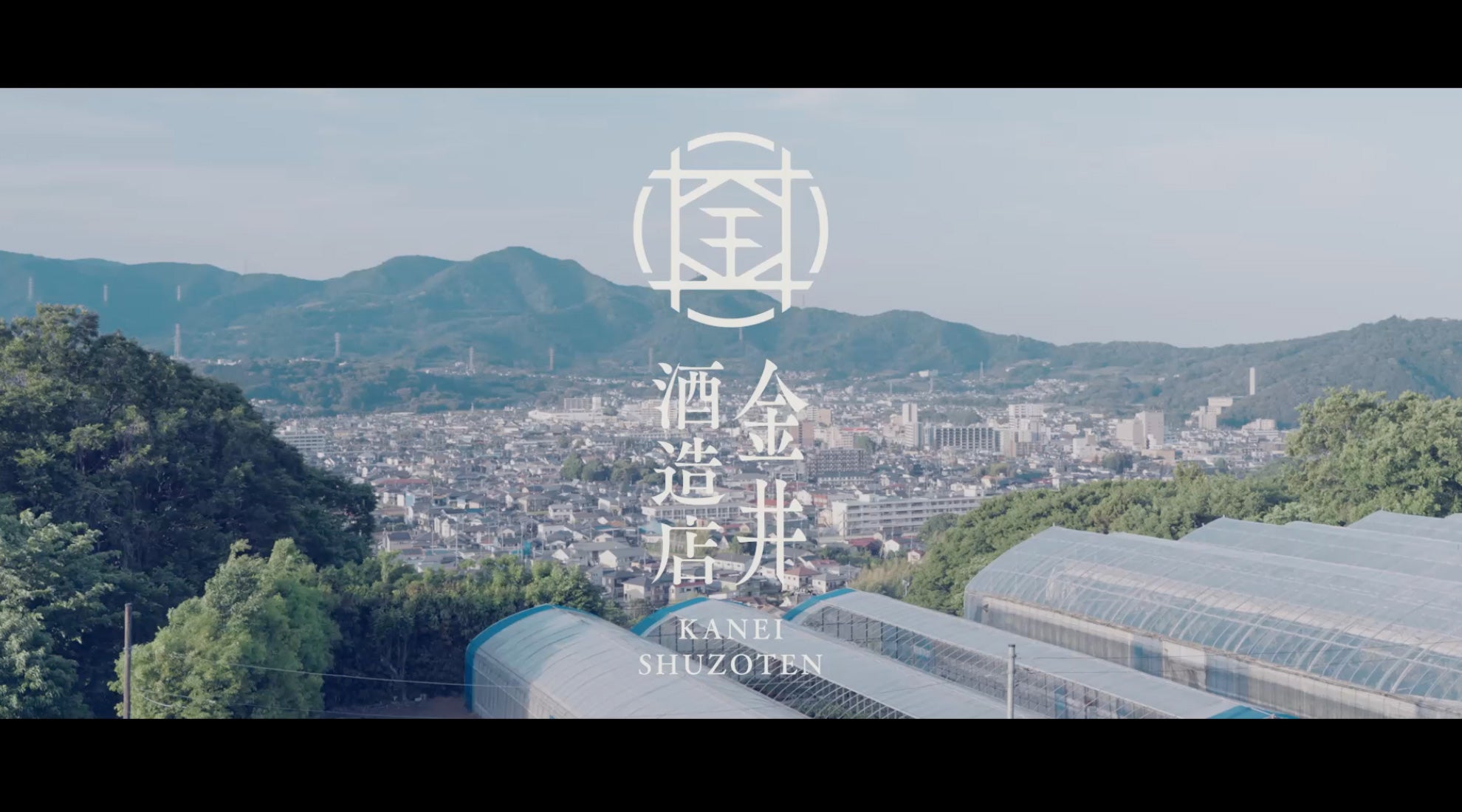 動画を読み込む: 