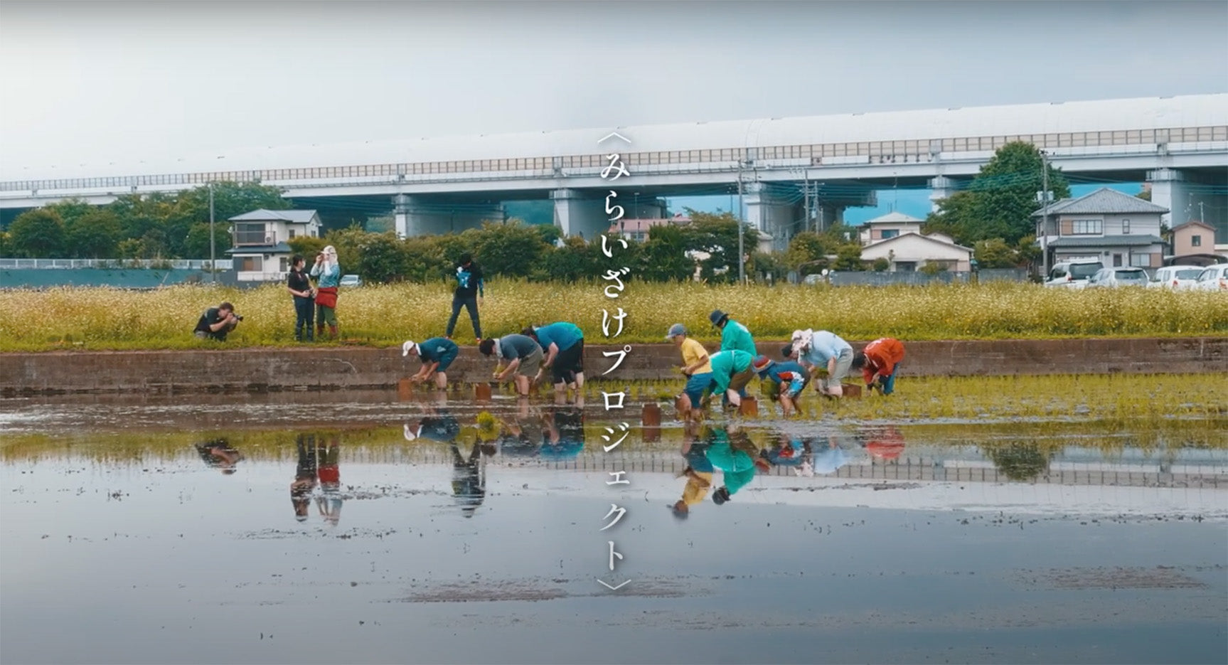 動画を読み込む: みらいざけプロジェクト 動画